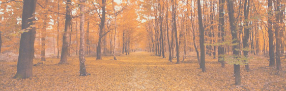 FALL