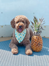 Load image into Gallery viewer, BANDANA | TROPICAL PINEAPPLE
