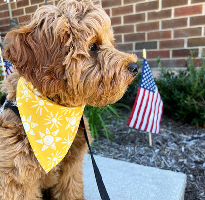 BANDANA | GOLDEN SUNSHINE